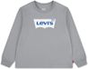 Levi's Kids Batwing T-shirt Met Lange Mouwen Grijs 6 Years Jongen