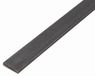 GAH-Alberts Alberts 423940 platte buis | staal | 1000 x 10 x 2 mm | set van 6