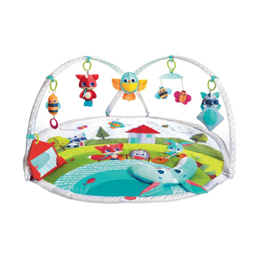Tiny Love Dynamic speelkleed met speelboog