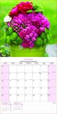 Tallon Bouquets, Flowers & Gardens Kalender 2027