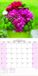 Tallon Bouquets, Flowers & Gardens Kalender 2027