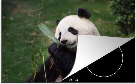 KitchenYeah® Inductie beschermer 77x51 cm - Pandabeer - Inductie kookplaat accessoire