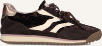 MRP Sneakers Utah Bruin