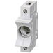 Siemens 5SG1301 Zekeringsinzetstuk Blanc