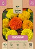 Baltus Afrikaantje Hoge Erecta mengsel bloemenzaad Nature Gifts