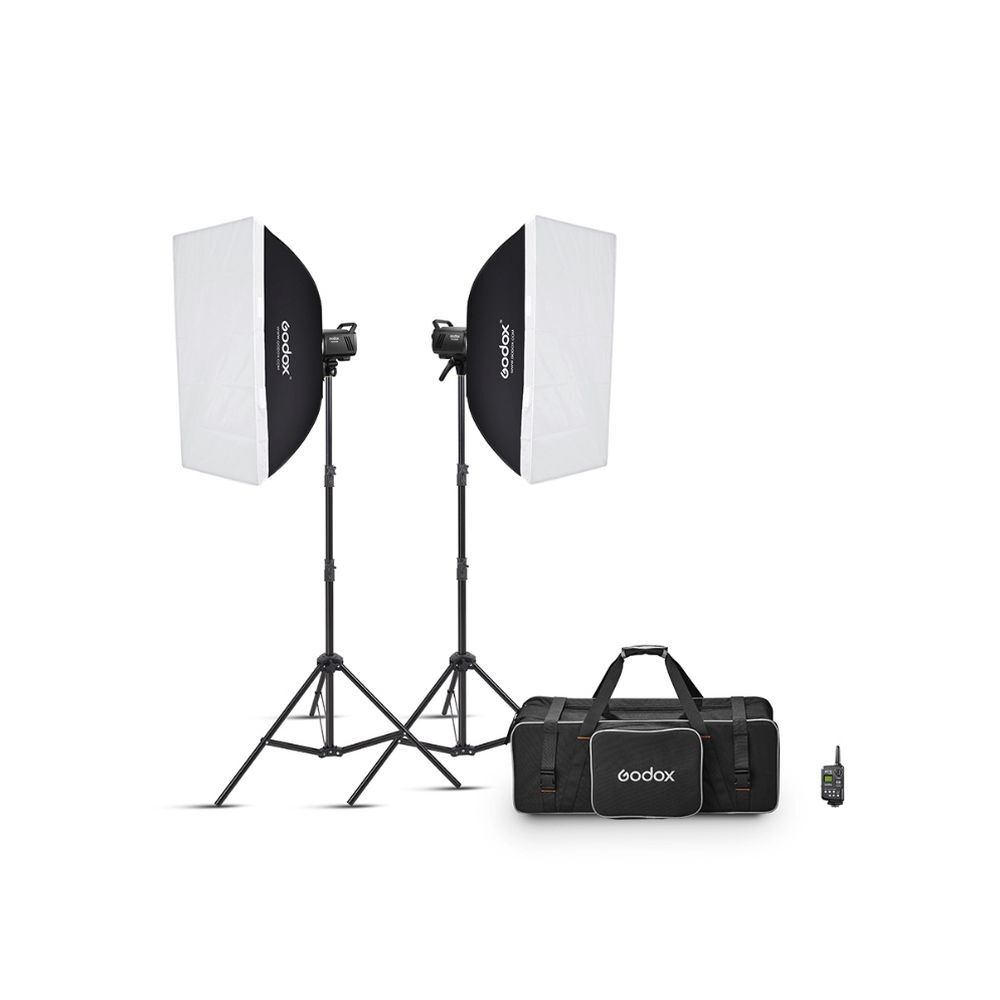 Godox Godox MS300V-F Dual Studio Flash Kit