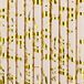 PartyDeco Drinkrietjes - papier - 50 stuks - poederroze/goud - 19,5 cm