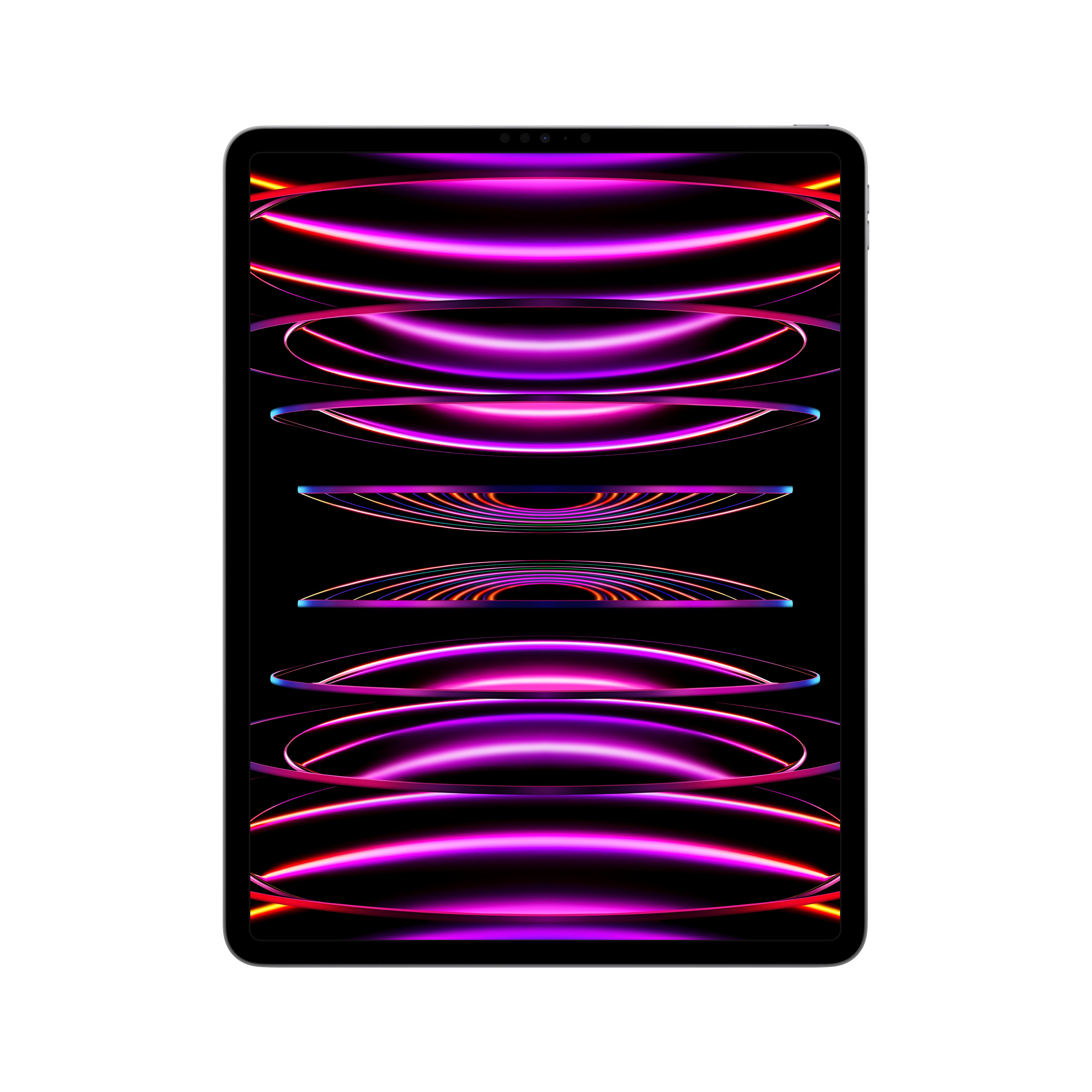 Apple iPad Pro / WiFi / 2TB / Grijs