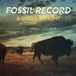 Sonic Rendezvous Fossil Record A Little Weight (LP)