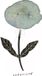 Cleopatre EAD250-2 hobbyverf Zwart 250 ml