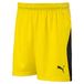 PUMA LIGA Shorts Jr