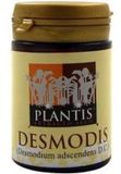 CAP. Artesania Desmodis 300 Mg 60 Vcaps