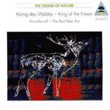 King Wergo King Of The Forest: The Red Deer Rut
