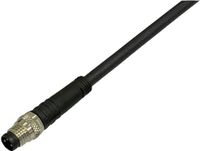 BKL Electronic 2700018 Sensor/actuator aansluitkabel M8 Aantal polen (sensoren): 3 Stekker, recht 2 m 1 stuk(s)