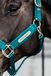 Kentucky Horsewear Velvet halster smaragd cob