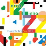 V2 Red Eye Forro In The Dark Plays Zorn CD