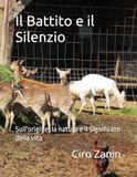 Il Battito e il Silenzio: Sull'origine, la natura e il significato della vita
