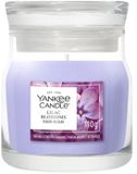 Yankee Candle Lilac Blossoms Geurkaars Small Jar Paars 1 stuk(s)