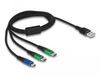 Delock 87882 USB-kabel USB 2.0 1 m USB A 2 x USB C/Micro-USB B Zwart, Blauw, Groen