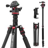 NEEWER Basics Monopod reisstatief voor camera, compacte en lichte houder voor mobiele telefoon DSLR (72 inch), Arca-kogelkop, compatibel met iPhone Video, maximale belasting 6 kg, TP14B
