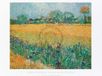 Vincent Van Gogh Affiche Art - Vista di Arles Con Irises 80x60cm