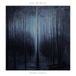 Ilya Beshevli - Night Forest