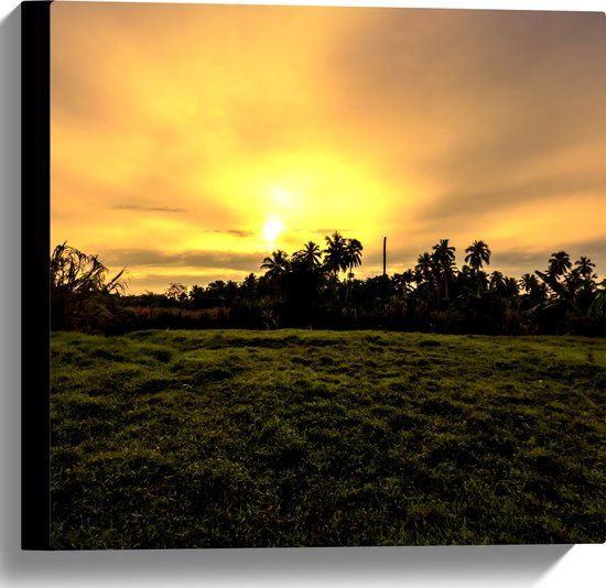 Merkloos / Sans marque Canvas Schilderij - Grasveld met Zon en Palmbomen - 40x40 cm - Wanddecoratie