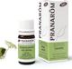 Pranarom Huile essentielle Carotte Sauvage Bio 5 ml