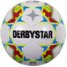 Derbystar Apus Light Futsal - Maat 4