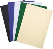 Exacompta 2790C sheet protector A4 Blue 270 g/m²