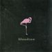 V2 International Blaudzun - Standard Edition