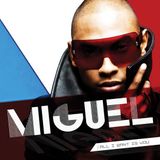 All Miguel - All I Want Is You (CD)