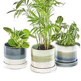 Chive 'Minute' pots en céramique - pots mignons et jolis pour fleurs et plantes d'intérieur et d'extérieur - Set de 3 - vert et bleu