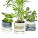 Chive 'Minute' pots en céramique - pots mignons et jolis pour fleurs et plantes d'intérieur et d'extérieur - Set de 3 - vert et bleu