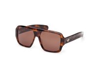 Adidas Originals OR0132 Dark havana 57/15/140 UNISEX Zonnebrillen