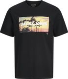 JACK&JONES JJINDIANA TEE SS CREW NECK LN Heren T-shirt L Katoen Zwart