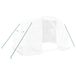 Serre avec cadre en acier 6 m² 3x2x2 m