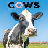 Avonside Koeien Kalender 2027 Wandkalender
