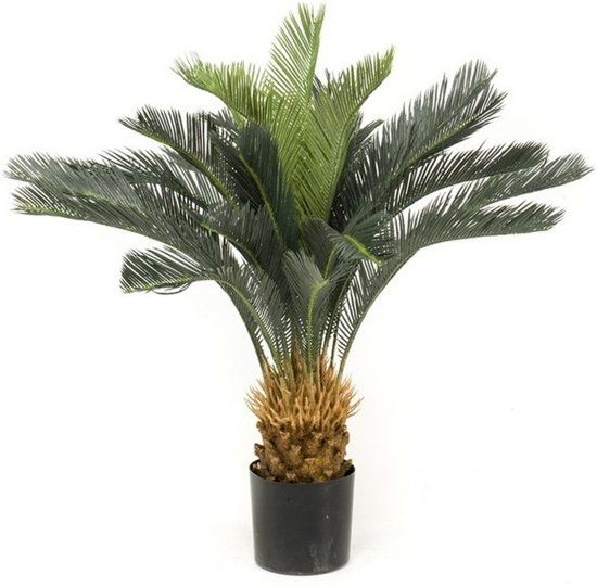 Shoppartners Groene Cycas revoluta/vredespalm kunstplant 90 cm in zwarte pot