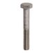 Toolstation Zeskantbouten RVS M12x50mm (10 Stuks)