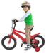 Cyclisme pour Enfants 14 Pouces - Avec Roues d'Apprentissage et Hauteur de Selle Réglable - Rouge