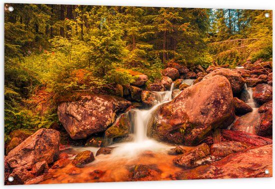 Merkloos / Sans marque Tuinposter - Kleine Waterval door het Bos - 120x80 cm