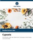 Cypsela: Verlag Unser Wissen Cypsela