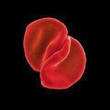 Peter Gabriel Scratch My Back (Special Edition) CD + DVD