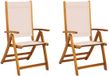 vidaXL Fauteuils de jardin pliants - 2 pièces - Acacia massif et Textilene - Crème