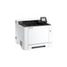 KYOCERA ECOSYS PA2101cwx/Plus Kleur Laserprinter
