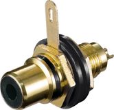 Goobay Soldeerbaar Mono Tulp Chassis (v) - Met isolatieringen - Verguld - Zwart Accent