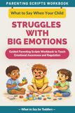 What to Say When Your Child Struggles with Big Emotions: Guided Parenting Scripts Workbook to Teach Emotional Awareness and Regulation — For Toddlers