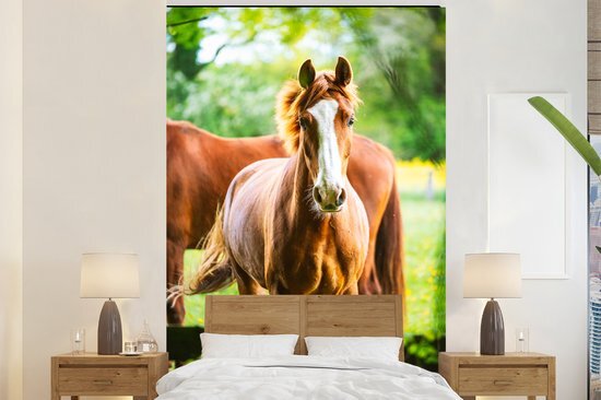 Nr1Wallpaper Behang - Fotobehang Paarden - Licht - Weide - Breedte 160 cm x hoogte 240 cm