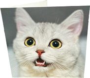 smekende Maturi 441079 wenskaart met slapende kat, meerkleurig